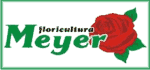 Floricultura Meyer - Arranjos e Florais - M�veis e Decora��es - Flores Artificiais - flores - flor - arranjo - muda - planta - buqu� - paisagismo - jardinagem - presente - tele-entrega